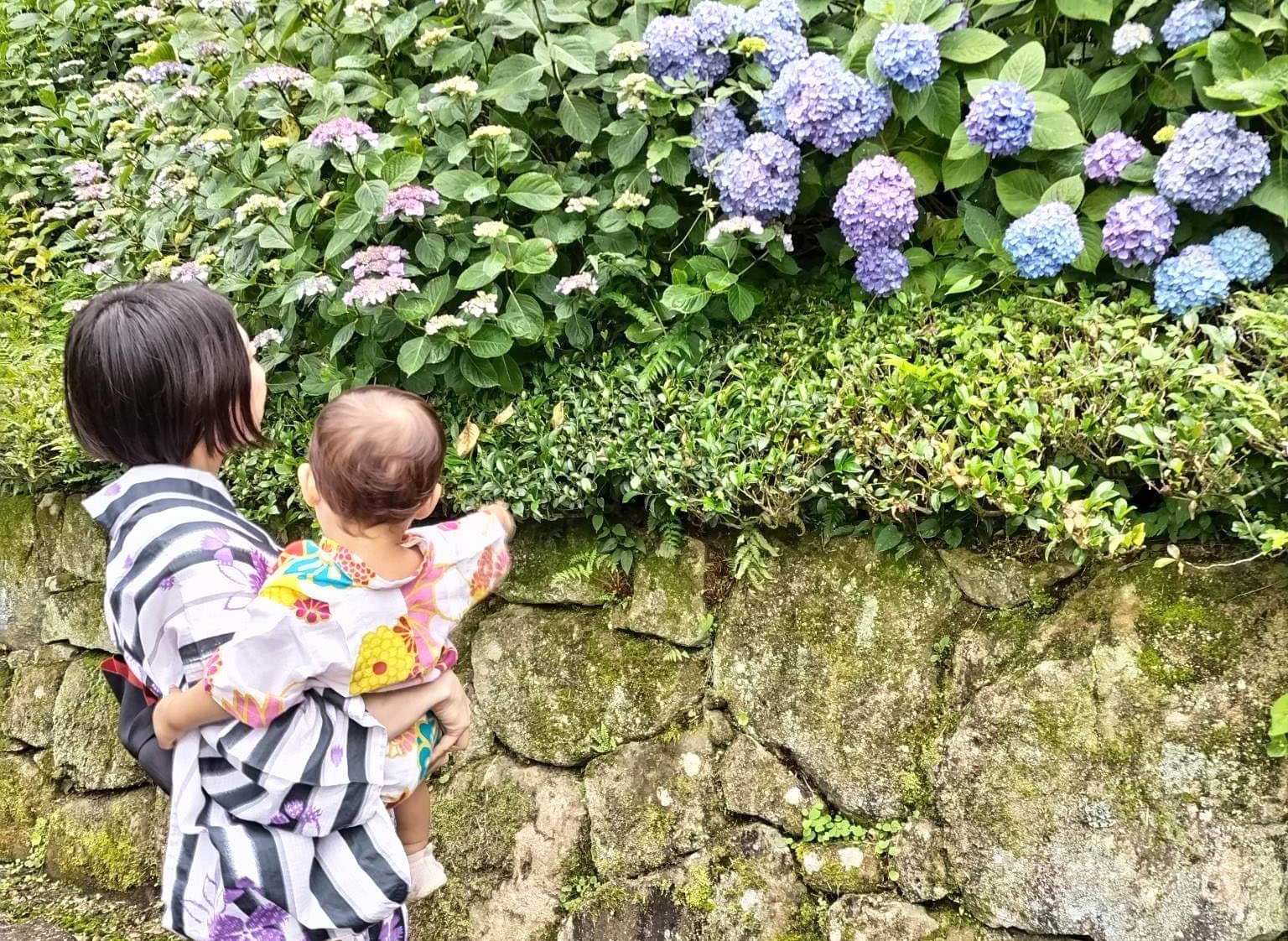 完全個別指導塾 うさぎ塾  / 和文化サロン希蝶