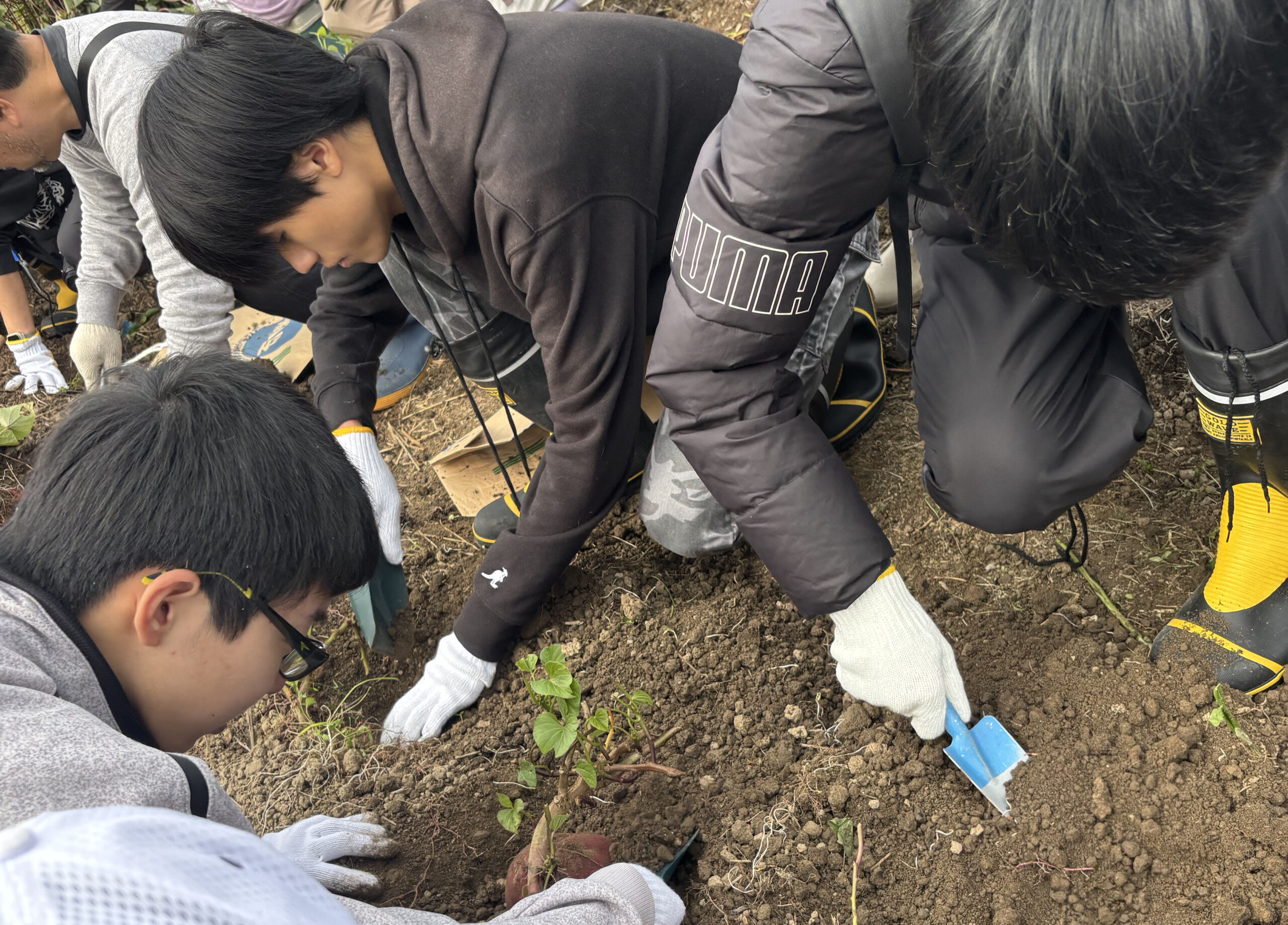 女子畑やぎ牧場 / さいさい来ん彩女子畑
